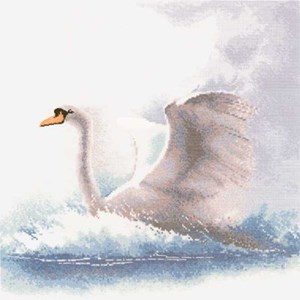 Изображение Лебедь в полете (Swan in Flight)