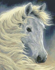 Изображение Полночное сияние - белая лошадь (Midnight Glow- White Horse)