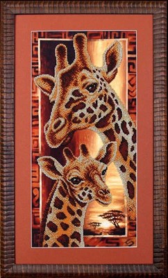 Изображение Африка: Жирафы