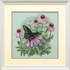 Изображение Бабочка и ромашки (Butterfly and Daisies)