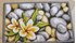 Изображение Цветок на камнях (ковер) (Frangipani Rug)