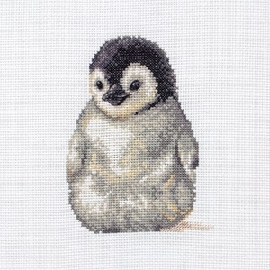 Изображение Маленький пингвин (Little Penguin)