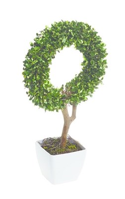 Изображение Искусственное топиари Circle Topiary 45см в горшке, 10 LED лампочек, на батарейках
