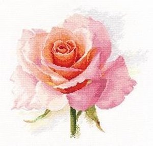 Изображение Дыхание розы. Нежность
