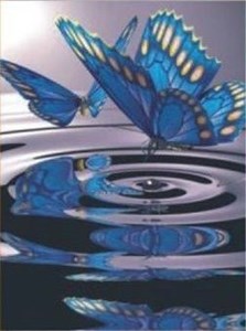 Изображение Бабочки на воде