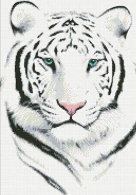 Изображение Белый тигр