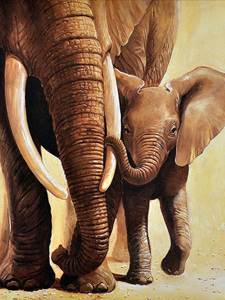Изображение Слонёнок с мамой