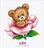 Изображение Тэдди цветок Метрика (Teddy Flower Birth Record)