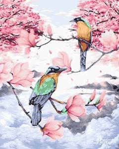 Изображение Райские птицы