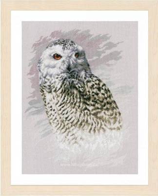Изображение Белая сова (Snowy Owl)