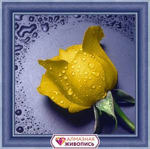 Изображение Желтая  роза